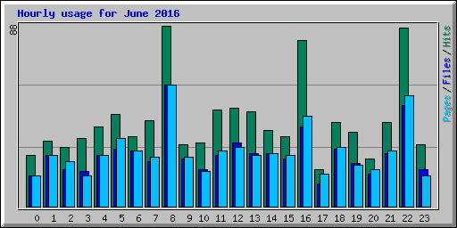 Hourly usage for June 2016