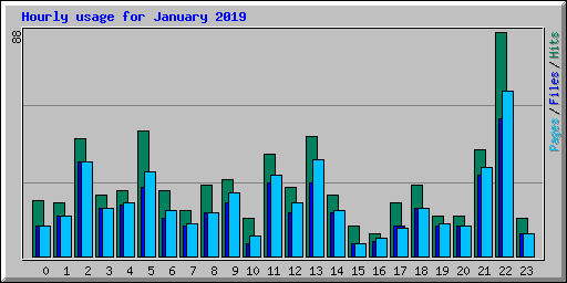 Hourly usage for January 2019